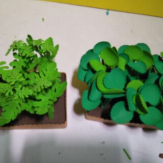Combo  10 rau củ