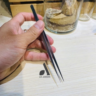 Nhíp ươm rêu (nhíp đầu cong + nhíp đầu thẳng) - dùng cho terrariums, ươm rêu và tiểu cảnh