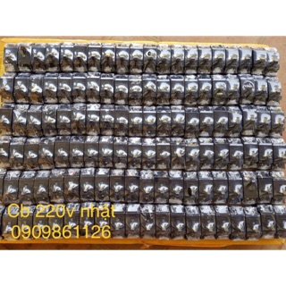Cb cóc nhật 20a
