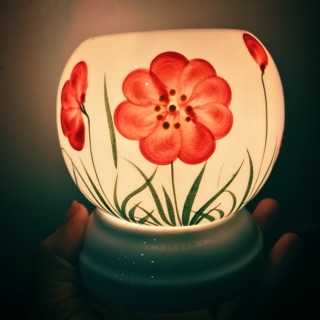 Set Đèn hoa nắng + sả chanh +quế