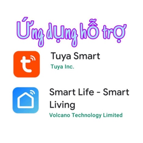 Ổ Cắm Hẹn giờ tự động tắt mở qua wifi, 3G App Smart Life/ Ewelink 10A, điều khiển bằng giọng nói Google &amp; Alexa