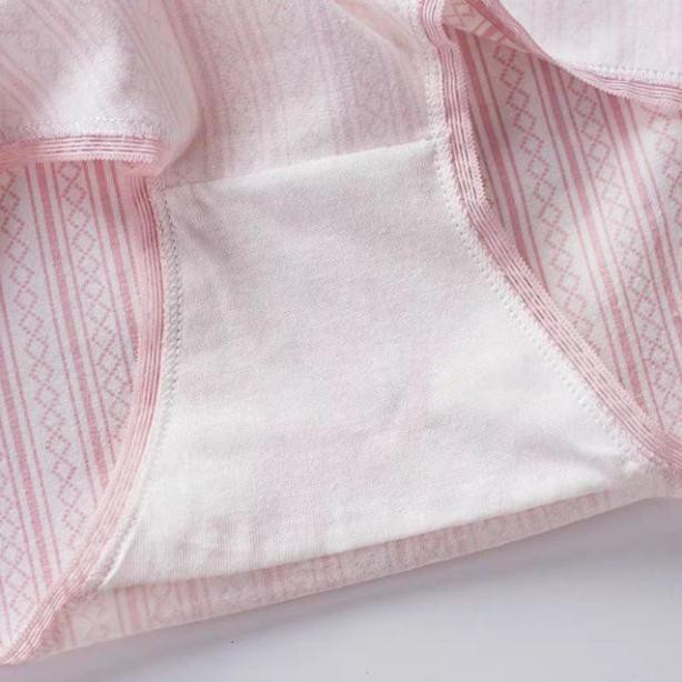 Quần Lót Cotton Cạp Ren Lưới Viền Ren Phối Kẻ  Dọc Q39