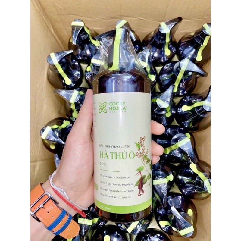 🌸 DẦU GỘI THẢO DƯỢC HÀ THỦ Ô 2 IN 1 🌸 | BigBuy360 - bigbuy360.vn