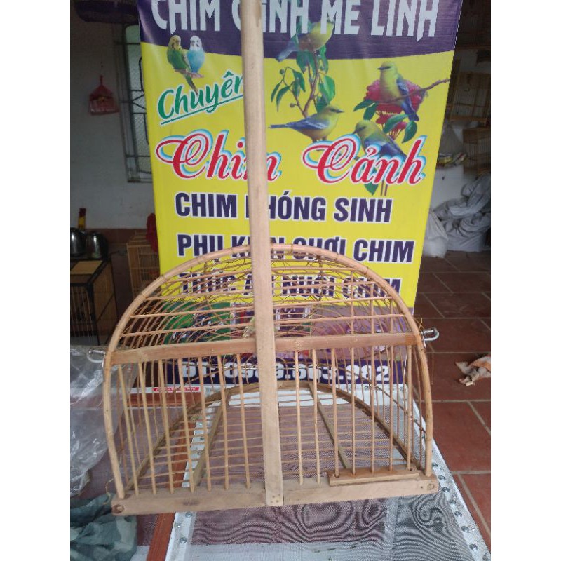 lụp bẫy mào chòe.