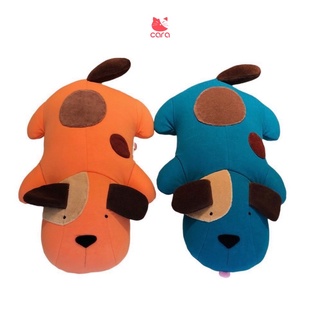 Chó thun đốm Hikosen Cara