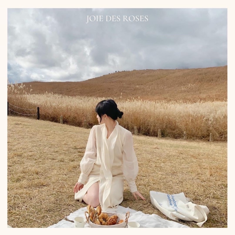 Pass áo sơ mi Joie des roses size S to