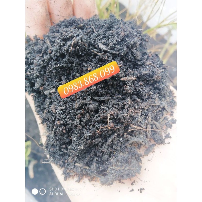 Đất trồng cây