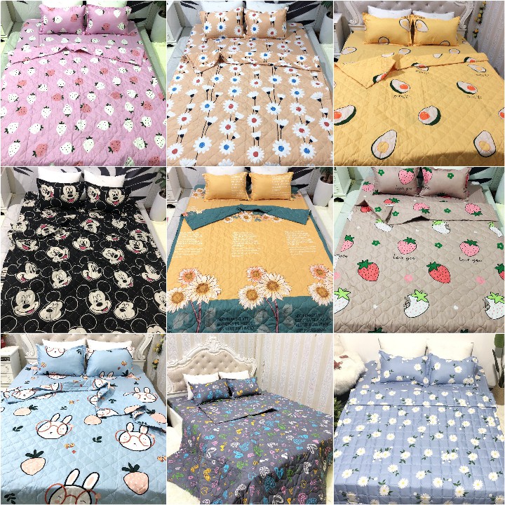 Chăn (mền) poly cotton chần bông 2 mặt Mẫu Mới