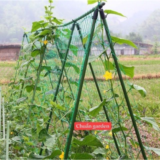 Lưới làm giàn leo ,  lưới làm giàn leo Ollie net . Kích Thước 1M * 2M