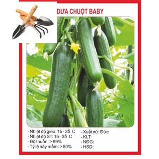 Hạt giống Dưa Chuột Chùm (Baby) 10 Hạt TẶNG BỘ DỤNG CỤ MINI