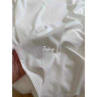 Vải thun cotton gân tăm