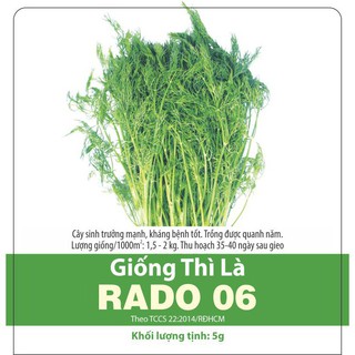 [Rạng Đông] Hạt Giống Thì Là Rado 06  Fernleaf Dễ Trồng, Thu Hoạch Nhanh 5gr