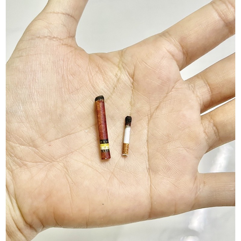 Mô hình điếu thuốc 1/6