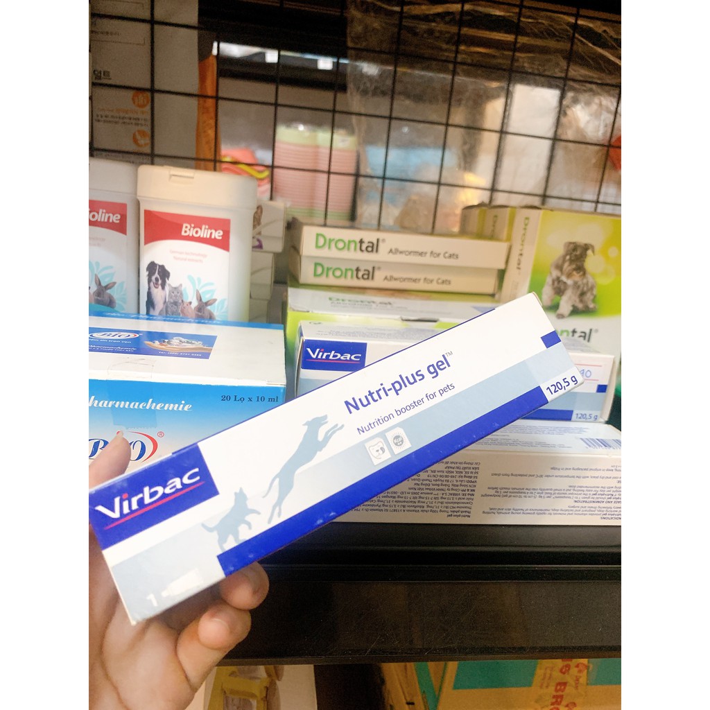 Gel Dinh Dưỡng Cho Chó Mèo (Nutri-Plus Gel Virbac)