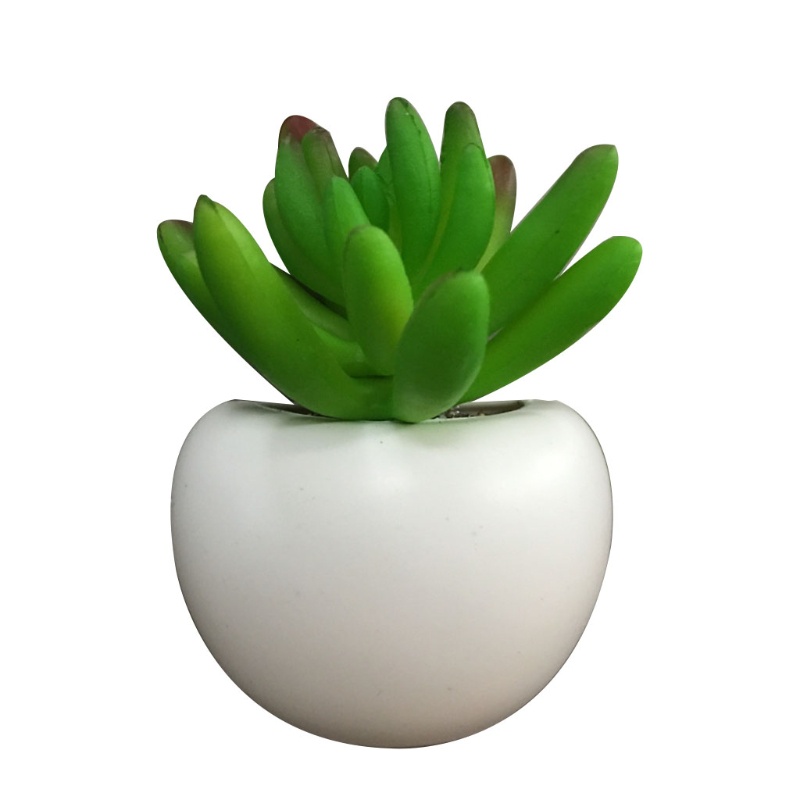 Nam châm dán tủ lạnh hình cây xương rồng