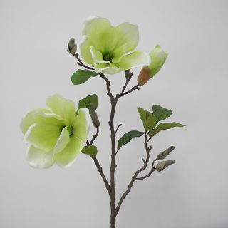 Hoa lụa mộc lan
