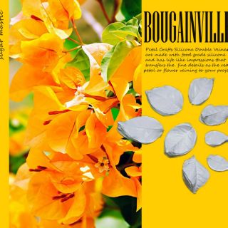 Bougainvillea Khuôn cắt khuôn vân silicone hoa đất hoa đường