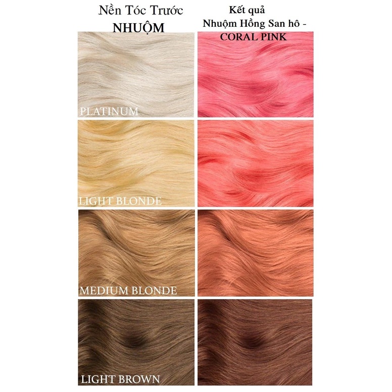Màu nhuộm Lavox thời trang hot trend