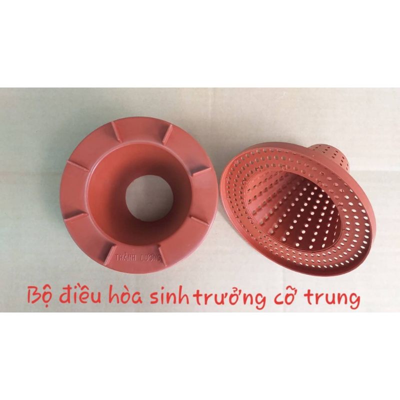 BỘ CỐC ĐIỀU HÒA SINH TRƯỞNG CHĂM LAN- CỠ TRUNG