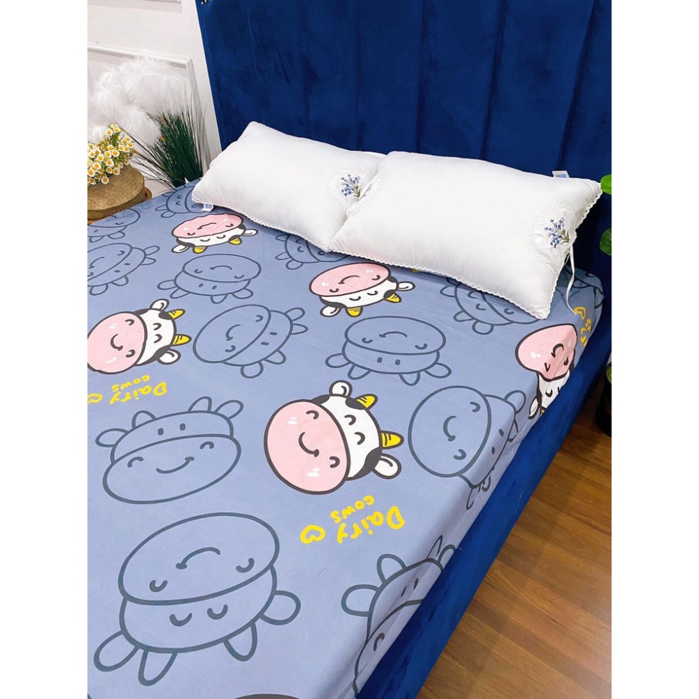 Ga giường ký túc xá 80 x 190 x 5cm.