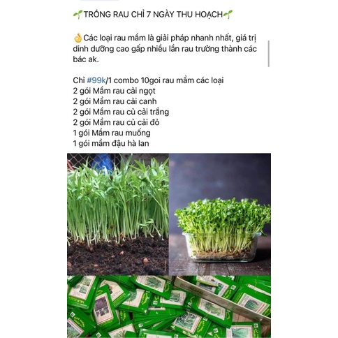 COMBO 10 gói hạt rau mầm các loại