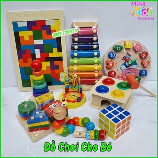 Đồ Chơi Gỗ Thông Minh Phát Triển Trí Tuệ Cho Bé