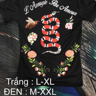 Áo rắn gucci và mèo