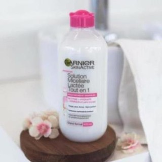 [Chuẩn auth 100%, đủ bill, đi air ✈️] Nước tẩy trang Garnier Pháp 400ml, 125ml
