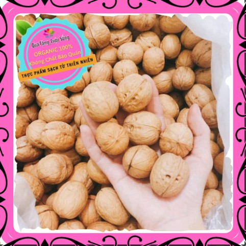 [Mới ra lò] Quả óc chó nhập khẩu Mỹ BỔ NÃO, TỐT CHO TIM MẠCH (500g) – Tặng kèm dụng cụ tách vỏ | BigBuy360 - bigbuy360.vn