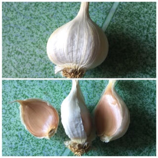 1KG TỎI LÝ SƠN LOẠI ĐẶC BIỆT ÍT TÉP THƠM NGON