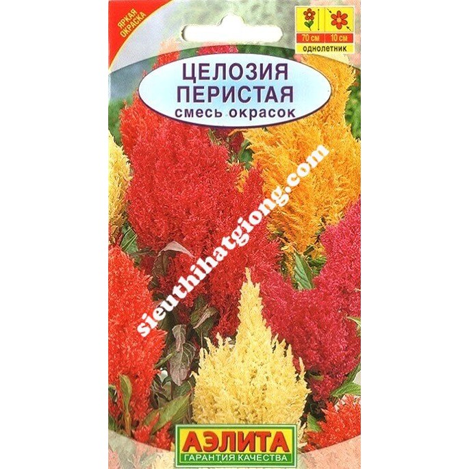 Hạt Giống Mào Gà Lửa Mix 70cm (0.3g)
