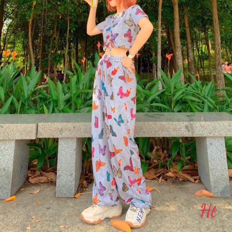 Sét bộ crt 2 kiểu hình bướm H2Q987