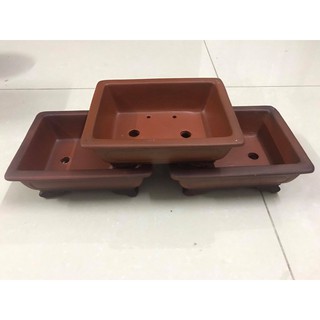 Chậu chữ nhật mini