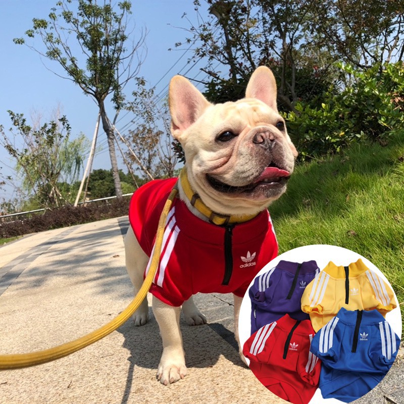 Áo Len Thời Trang Thu Đông Cho Thú Cưng