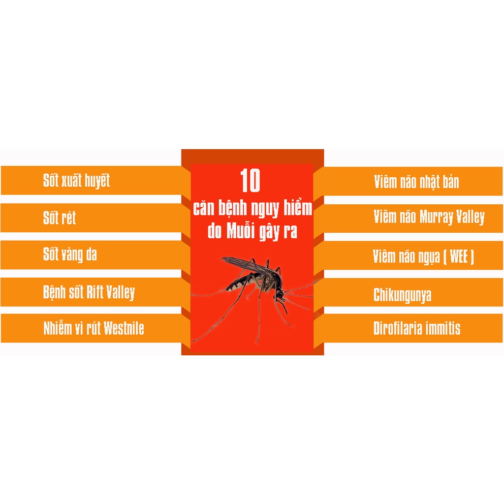 Tinh Dầu Sả Java HOALINH 100% tự nhiên nguyên chất xông phòng, đuổi muỗi : 500ML - 100ML