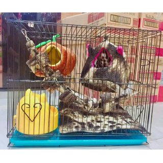 Chuồng/Lồng cho Sóc 40.30.30cm khay rời ( không kèm vật dụng bên trong chuồng )