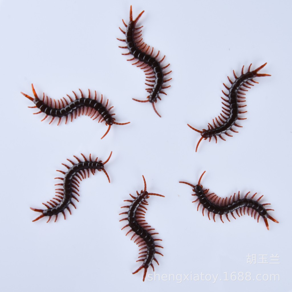 CON RẾT GIẢ côn trùng giả dùng để trang trí hoặc chơi khăm troll bạn bè