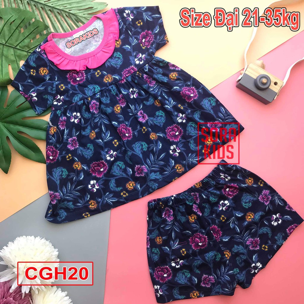 (Xả Kho) bộ cotton bông áo babydon quần ngắn có size cho bé từ 18-33 kg -  Giao Màu Ngẫu Nhiên