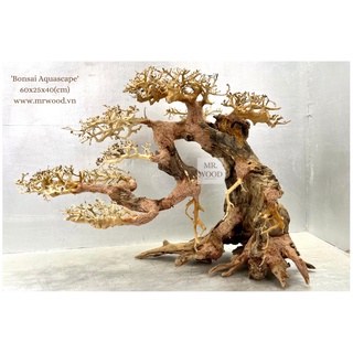 Bonsai Dáng Đổ cho hồ thuỷ sinh size Lớn- Xưởng Lũa Mr Wood