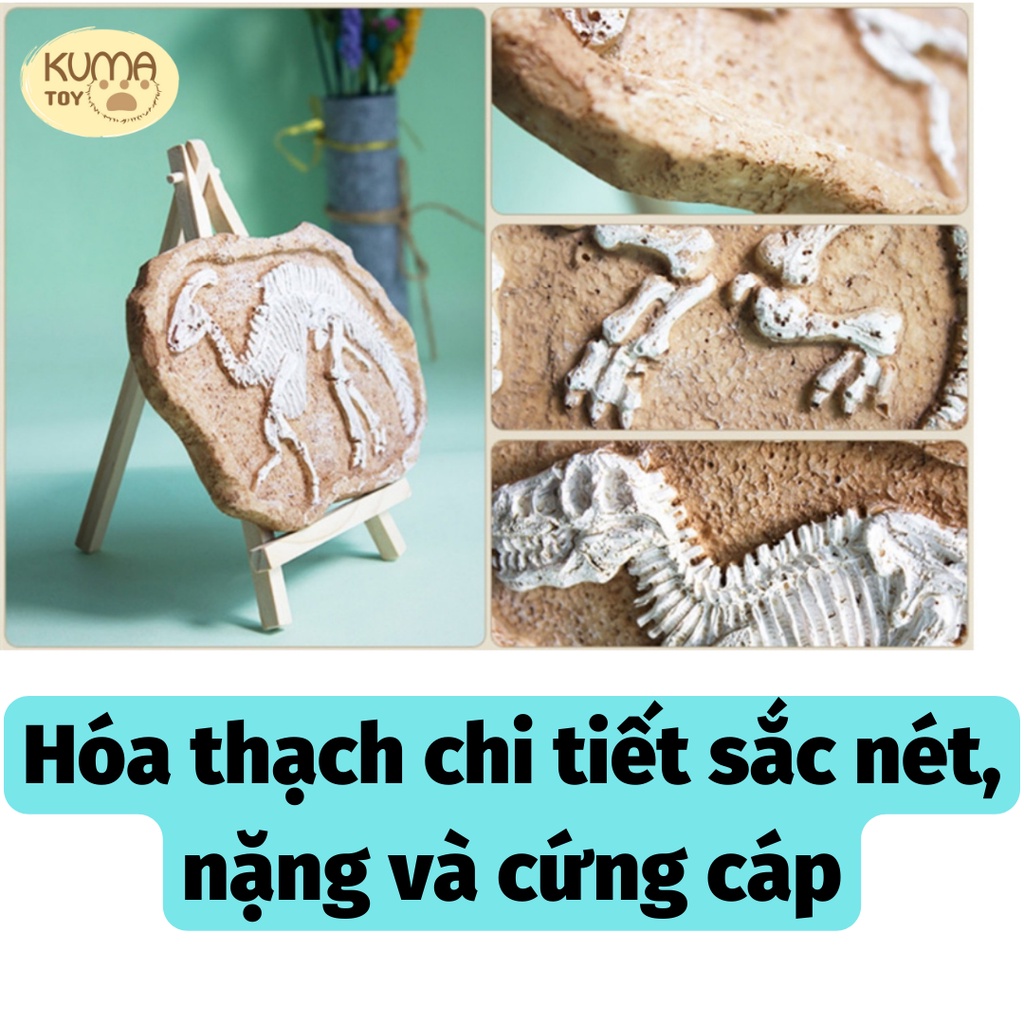 Bộ đồ chơi khảo cổ học đào hóa thạch khủng long Dinosaur - Mô hình đồ chơi giáo dục trẻ em