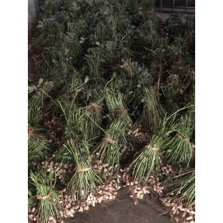 Dầu đậu phộng nguyên chất
