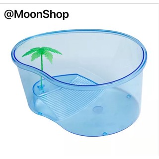 [Giá Xưởng] Bể Rùa Cảnh Mini nhựa chất lượng cao, chống va đập