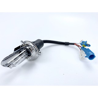 Bóng Xenon chân H4