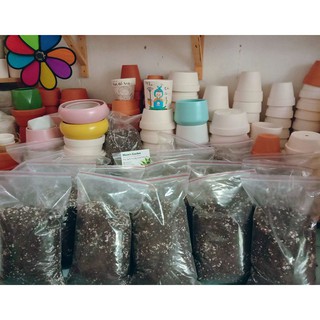 Đá Perlite Trân Châu