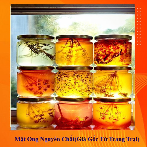 [TRỢ GIÁ] Mật ong rừng đa hoa đặc biệt - Cam kết nguyên chất - Đặc sánh Hũ Kính nắp nhôm