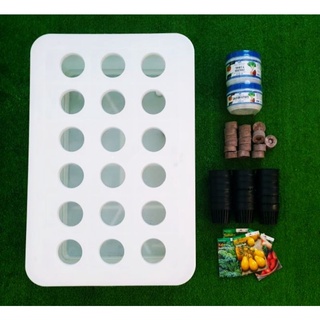 Combo thùng thủy canh tĩnh