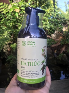 Dầu gội Hà Thủ Ô 2 in 1