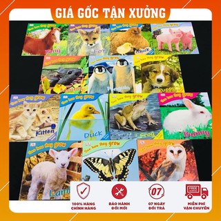 Đồ chơi 14q - See how they grow