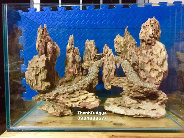 ☘️Bố cục đá chơi bể cá thủy sinh☘️