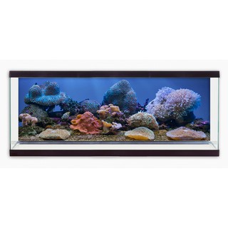 Tranh phông nền 3D VTC dán hồ cá Aqua_046